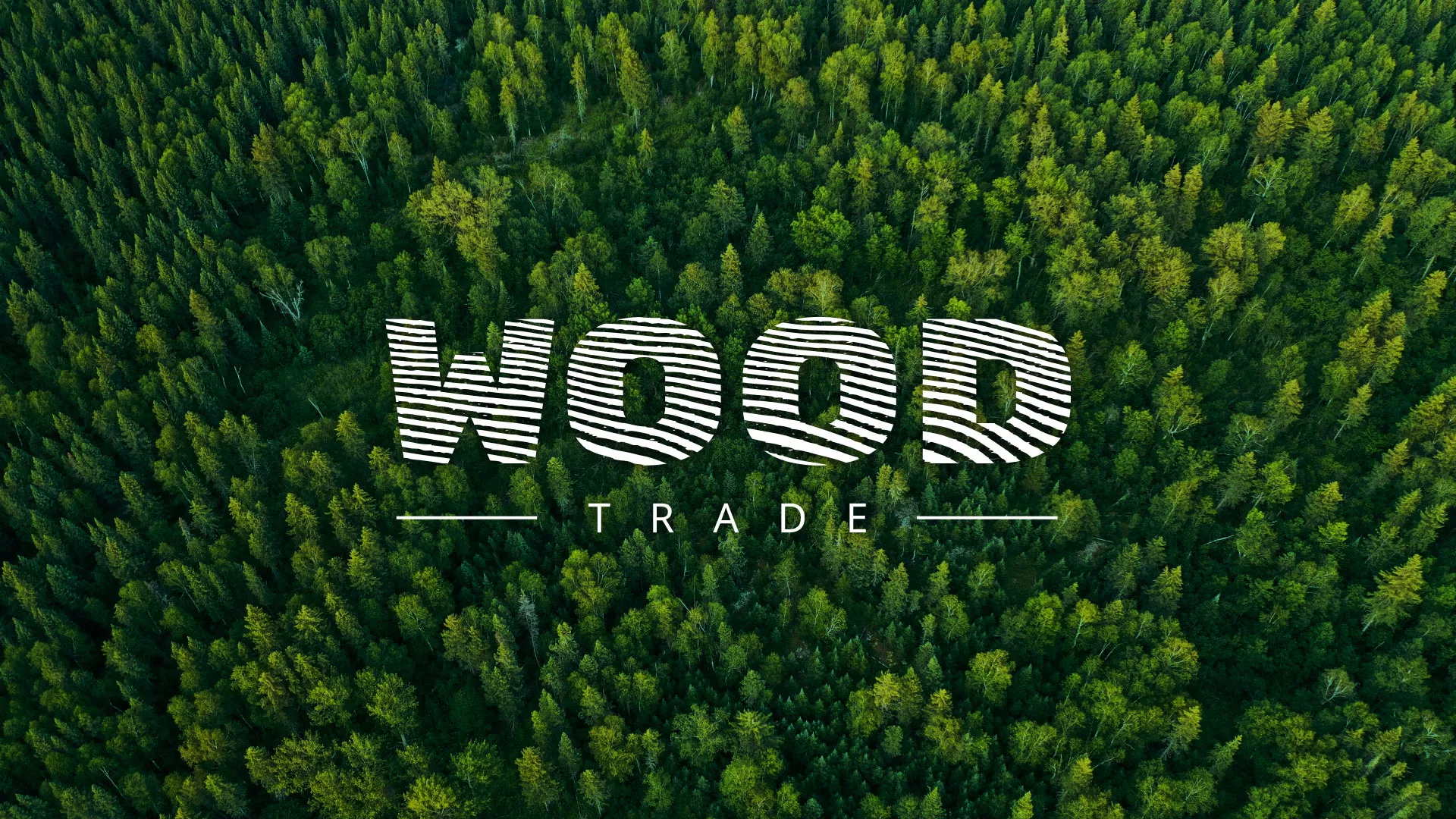 Разработка интернет-магазина компании «Wood Trade» в Высоковске