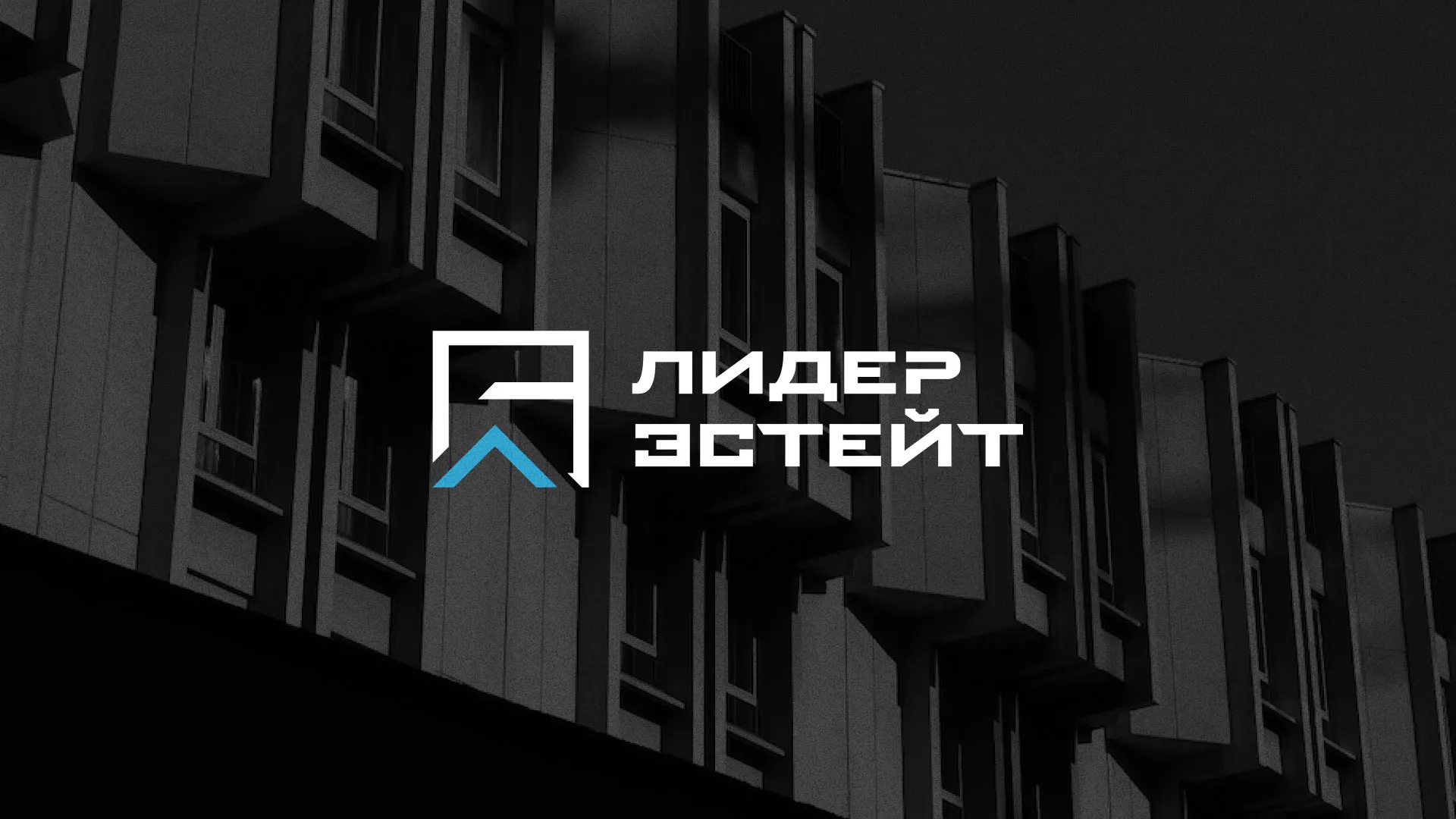 Разработка логотипа агентства недвижимости «Лидер Эстейт» в Высоковске