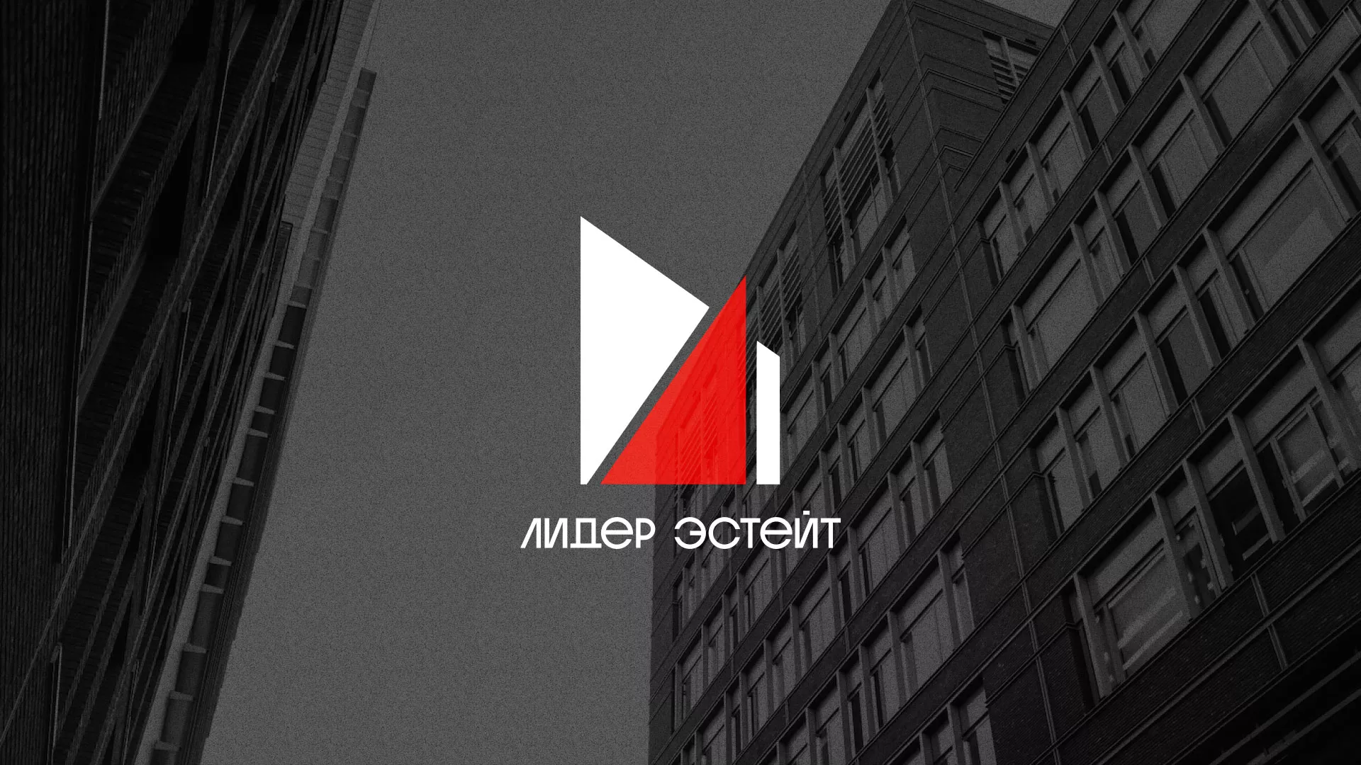Сделали логотип для агентства недвижимости «Лидер Эстейт» в Высоковске